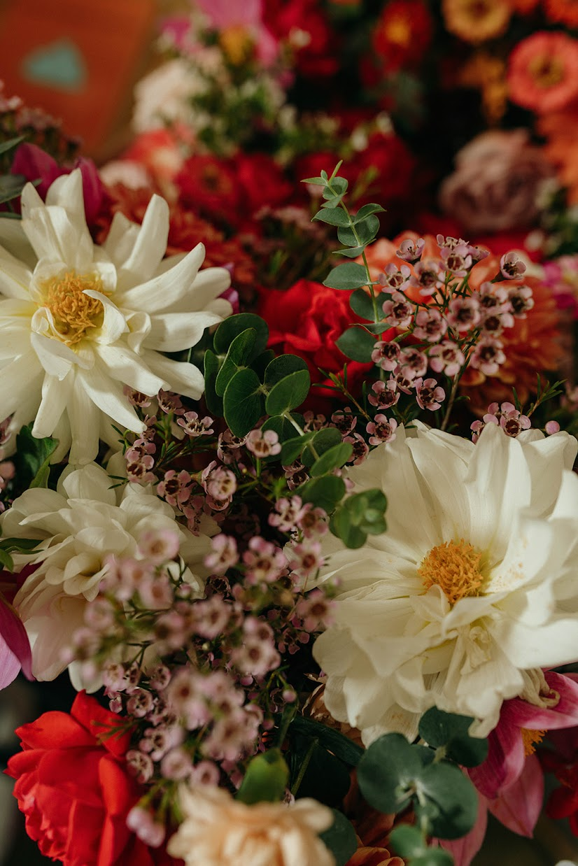 jdphoto1-342.webp